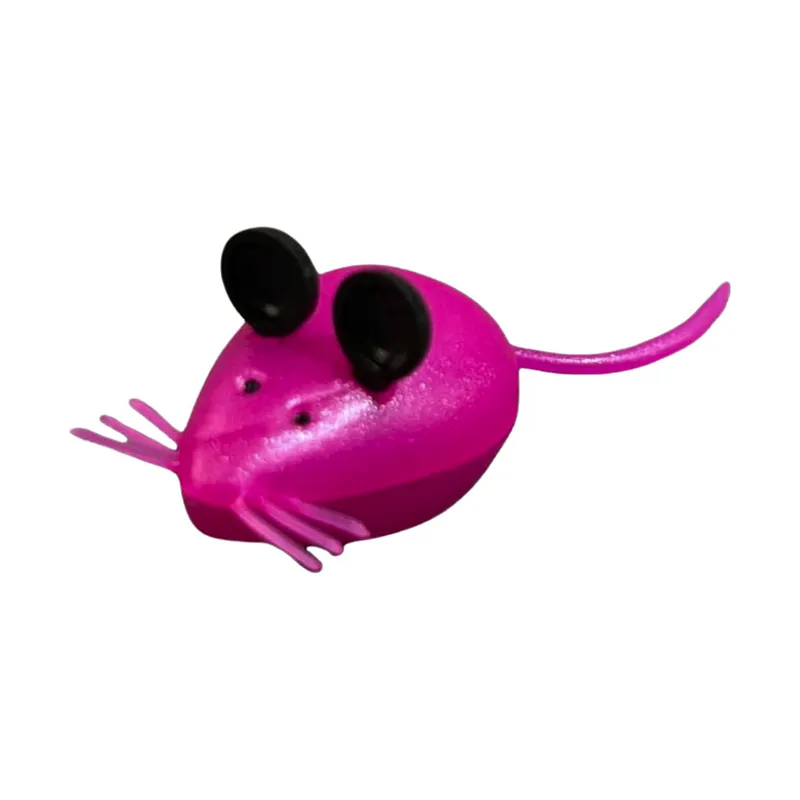 raton_plus_porta_diente_02-